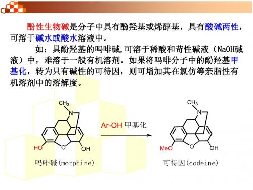 12 生物碱