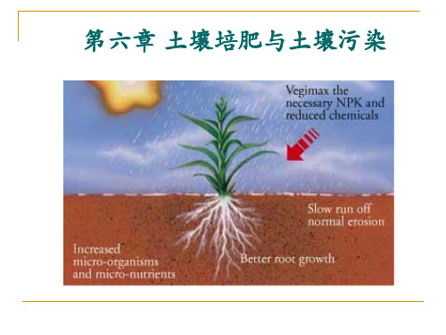 第六章 土壤培肥及土壤污染