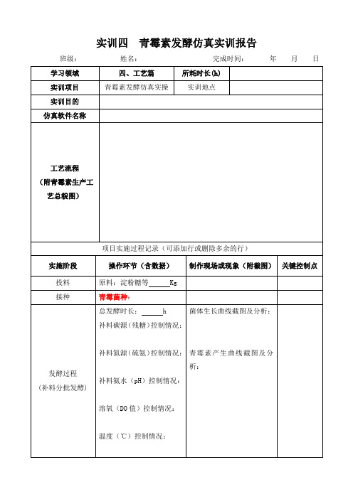 青霉素发酵仿真实训报告模板