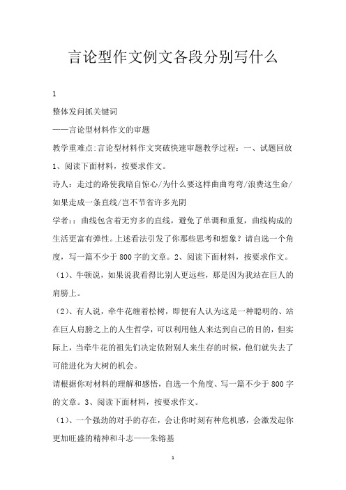 言论型作文例文 各段分别写什么