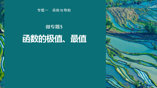 高考数学专题一 微专题5 函数的极值、最值