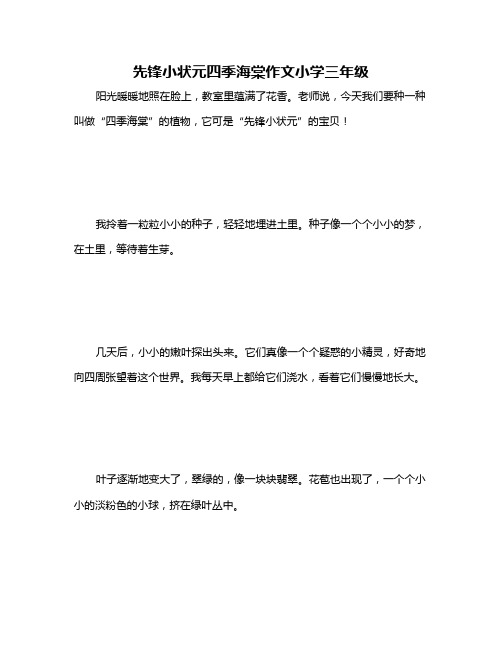 先锋小状元四季海棠作文小学三年级