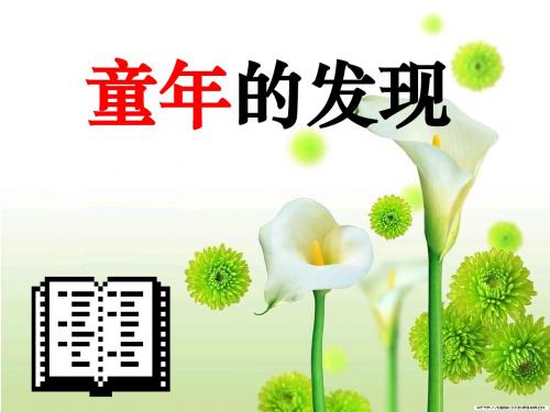 人教版小学五年级下册语文第8课《童年的发现》课件
