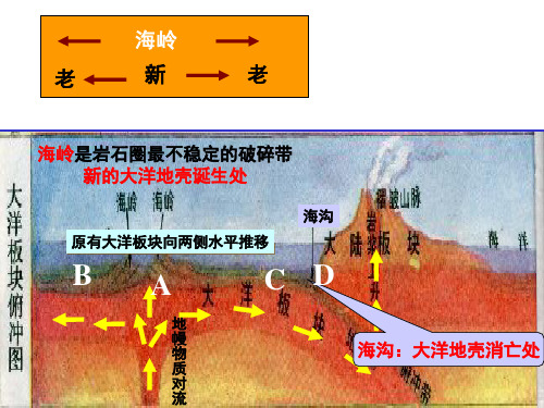 综合(岩石圈、大气圈、水圈)