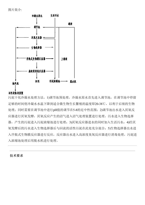 污泥干化冷凝水处理方法与设计方案