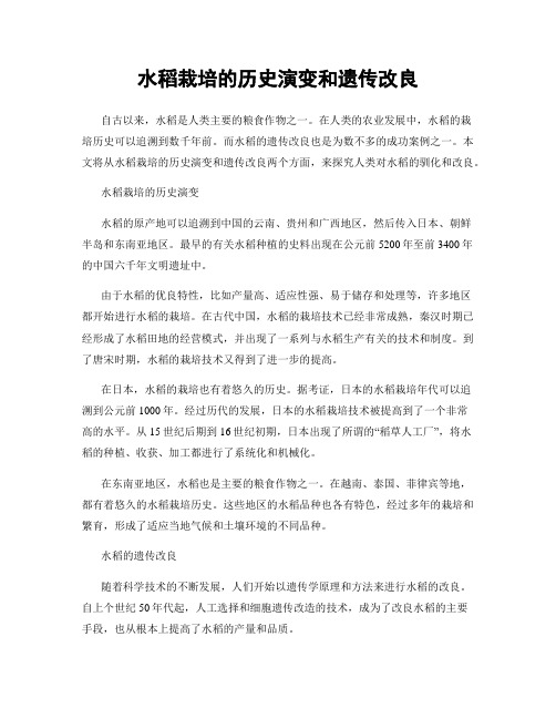 水稻栽培的历史演变和遗传改良