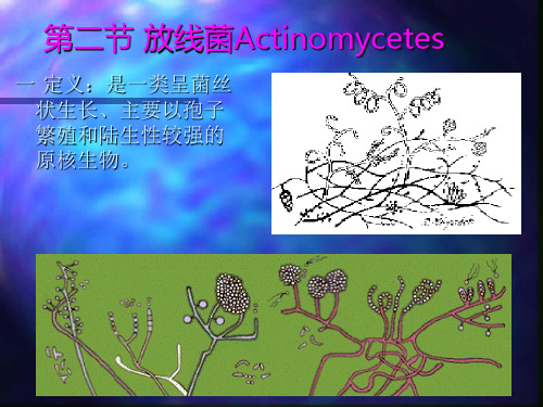 第二章放线菌