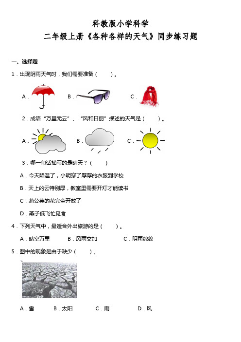 科教版小学科学二年级上册《各种各样的天气》同步练习题