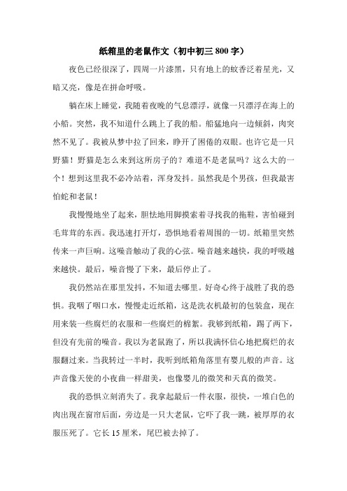 纸箱里的老鼠作文(初中初三800字).doc