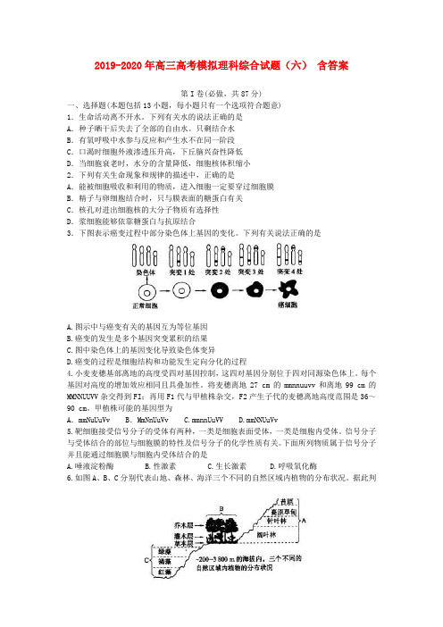 2019-2020年高三高考模拟理科综合试题(六) 含答案