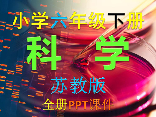 苏教版 小学 科学 六年级 下册 全册PPT优质课件