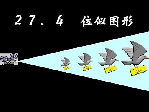位似1