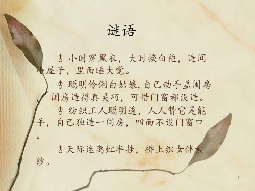 纺织材料学—蚕丝ppt课件