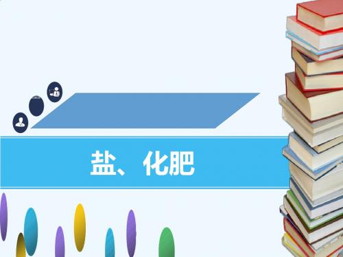 2018-2019学年九年级化学下册 第十一单元 盐、化肥 实验活动8 粗盐中难溶性杂质的去除课件 (新版)新人教