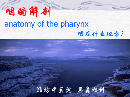 医学院授课课件咽的应用解剖