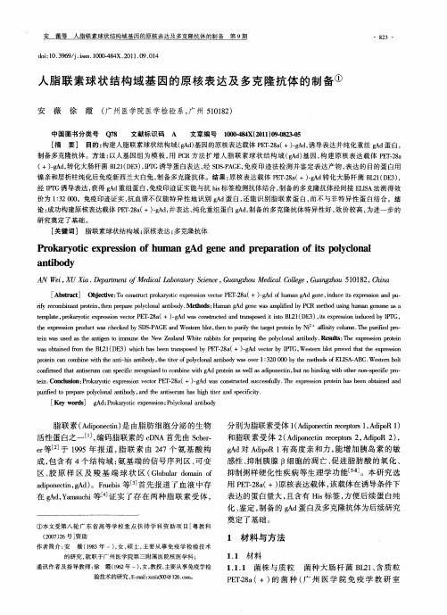 人脂联素球状结构域基因的原核表达及多克隆抗体的制备