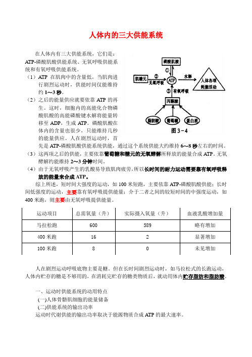 人体三大供能系统