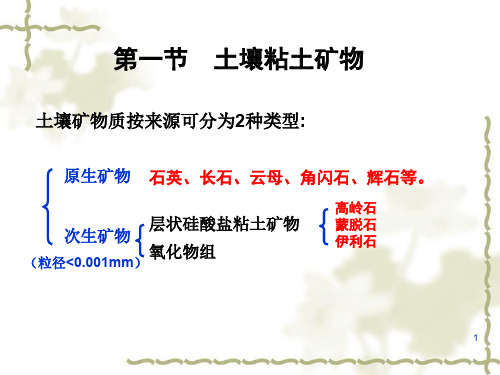 土壤固相组成
