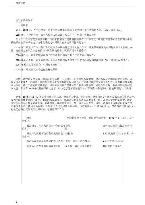 洗发水品牌解析总结计划