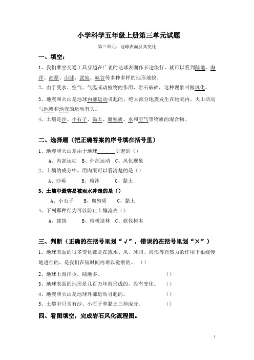 小学五年级科学上册第三单元复习题