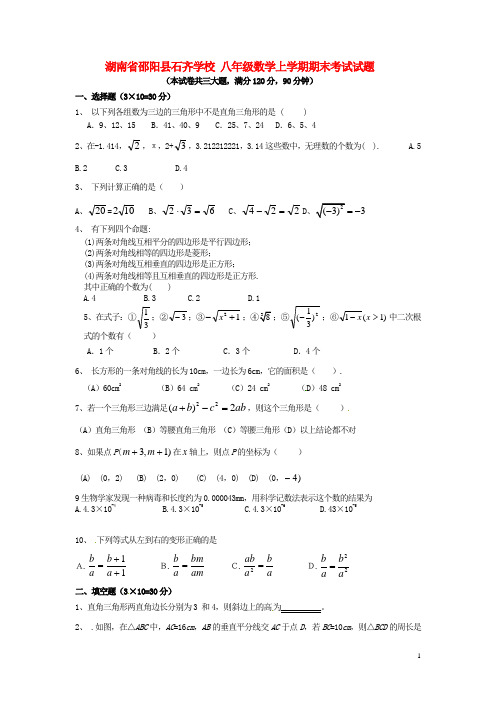 湖南省邵阳市邵阳县石齐学校八年级数学上学期期末考试试卷-新人教版