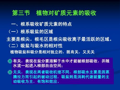 植物的矿质营养