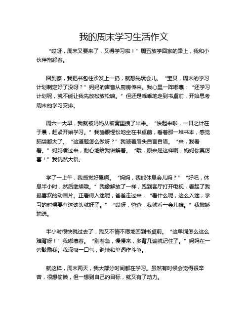 我的周末学习生活作文