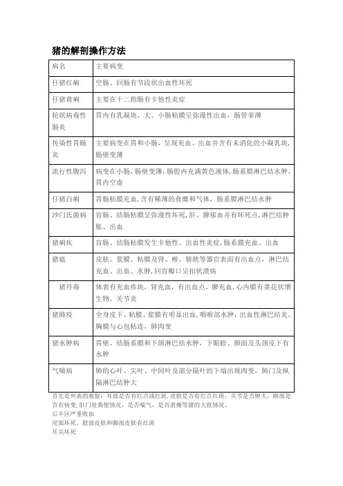 猪解剖流程及诊断图