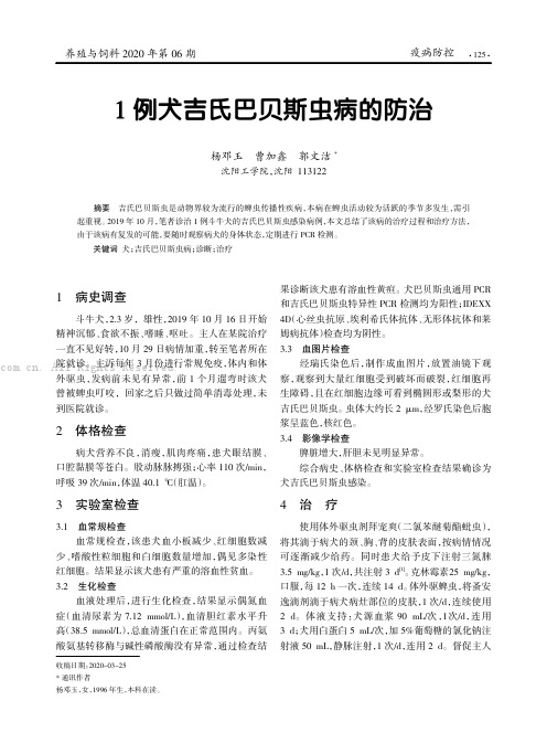 1 例犬吉氏巴贝斯虫病的防治