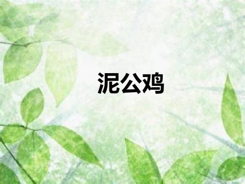 二年级上册美术课件-18泥公鸡赣美版 (共14张PPT)