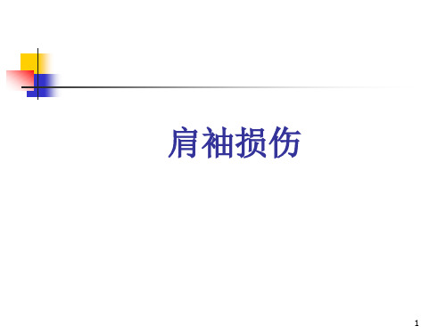 肩袖损伤患者护理PPT课件