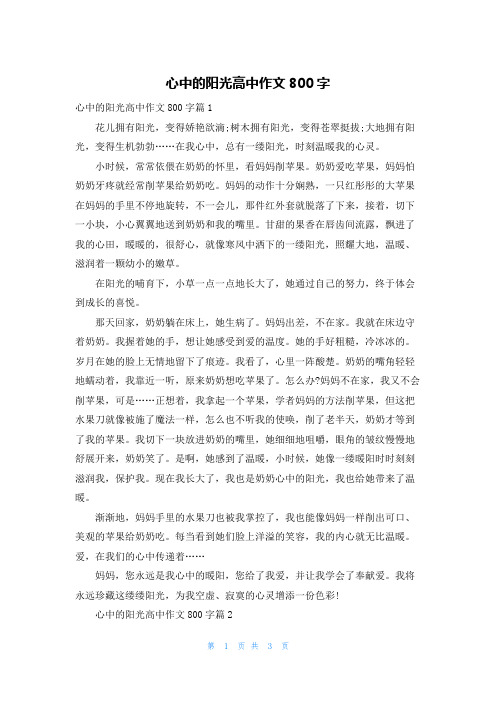 心中的阳光高中作文800字