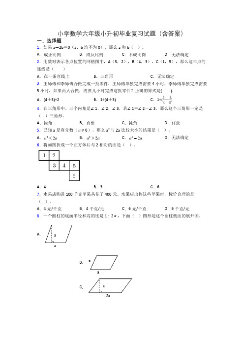 小学数学六年级小升初毕业复习试题(含答案)