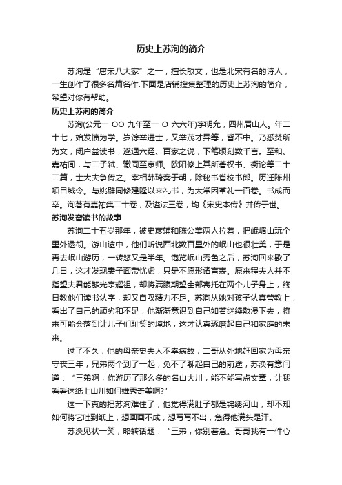 历史上苏洵的简介