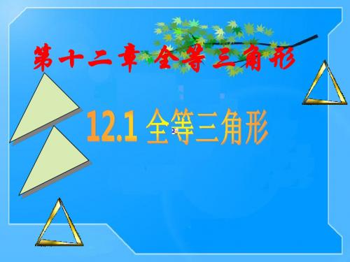 河北省巨鹿中学人教版八年级上册数学课件：12.1全等三角形 (共81张PPT)