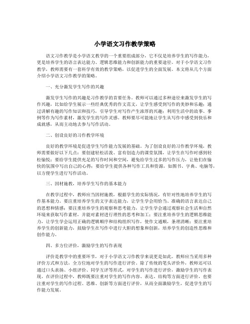 小学语文习作教学策略