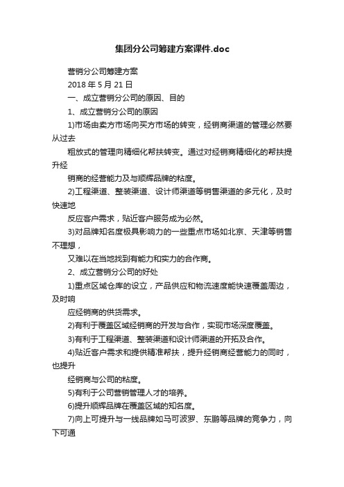 集团分公司筹建方案课件.doc