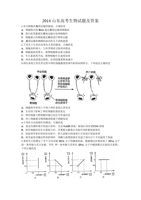 2014山东高考生物试题及答案