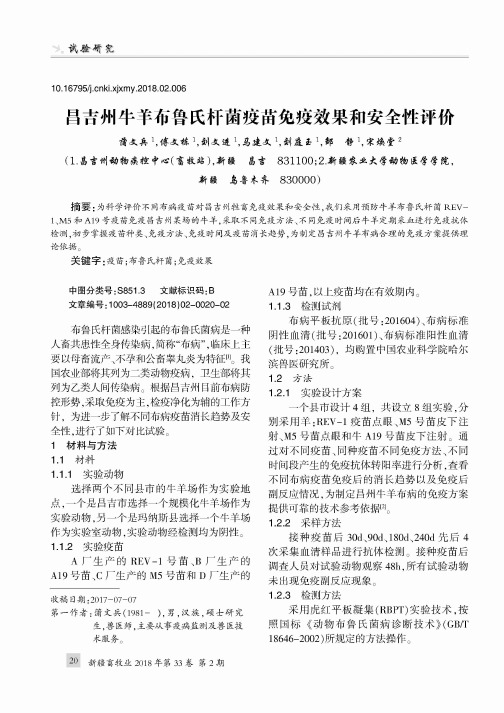 昌吉州牛羊布鲁氏杆菌疫苗免疫效果和安全性评价