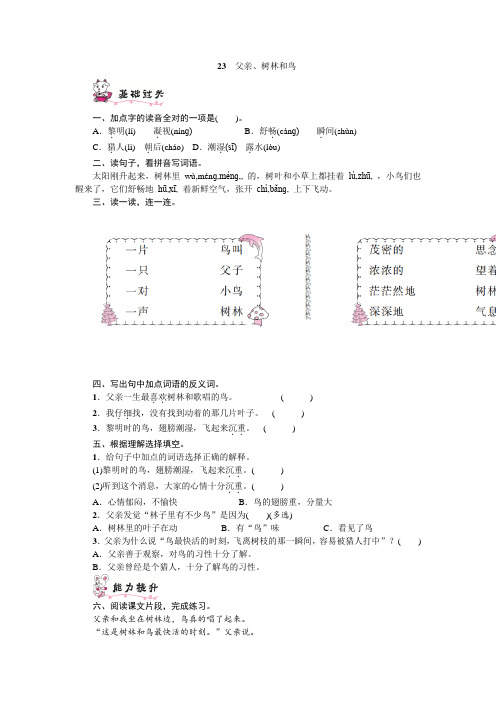 部编版三年级语文上册23 父亲、树林和鸟课时练(附答案)