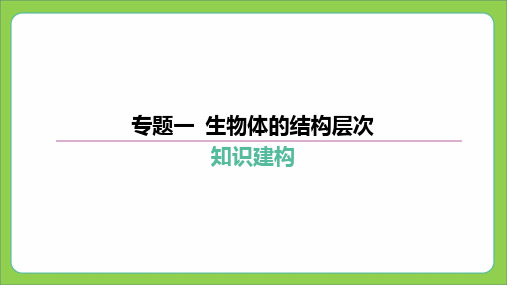 2024年中考生物总复习专题突破(冀少版)：第二篇+专题一+生物体的结构层次++课件+