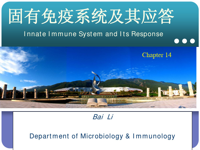 14 Innate immune system and its response