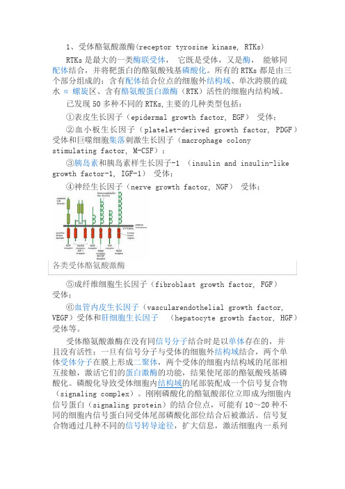 受体酪氨酸激酶RTK介绍