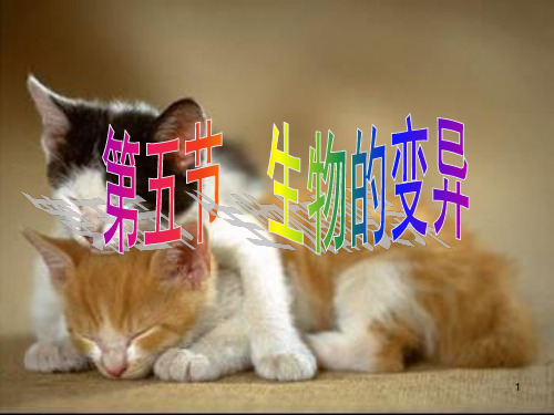 第五节 生物的变异 ppt课件