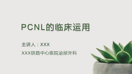 PCNL的临床应用