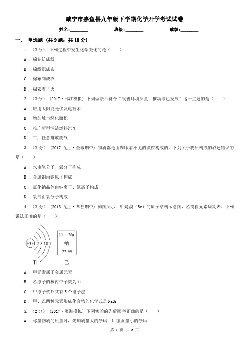 咸宁市嘉鱼县九年级下学期化学开学考试试卷