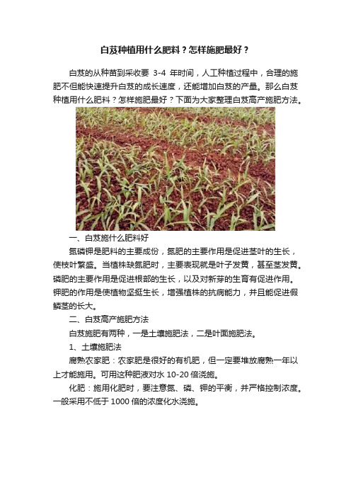 白芨种植用什么肥料？怎样施肥最好？