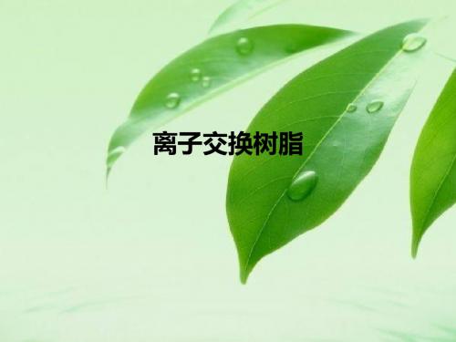 离子交换树脂