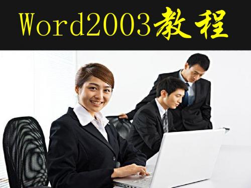 Word2003教程(全面)