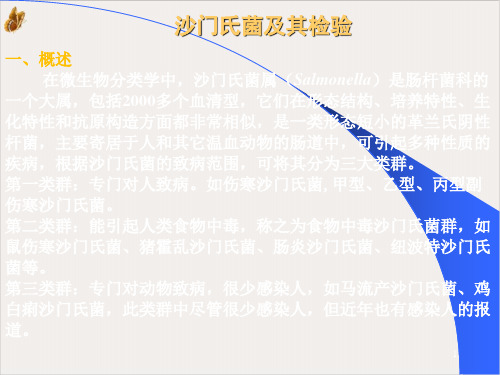 微生物分类学之沙门氏菌检验PPT公开课(26页)